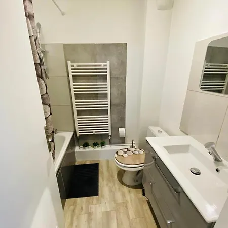 Cozy F2 Le Petit Nicolas Apartment Nancy