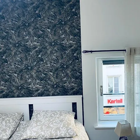 Cozy F2 Le Petit Nicolas Apartment Nancy
